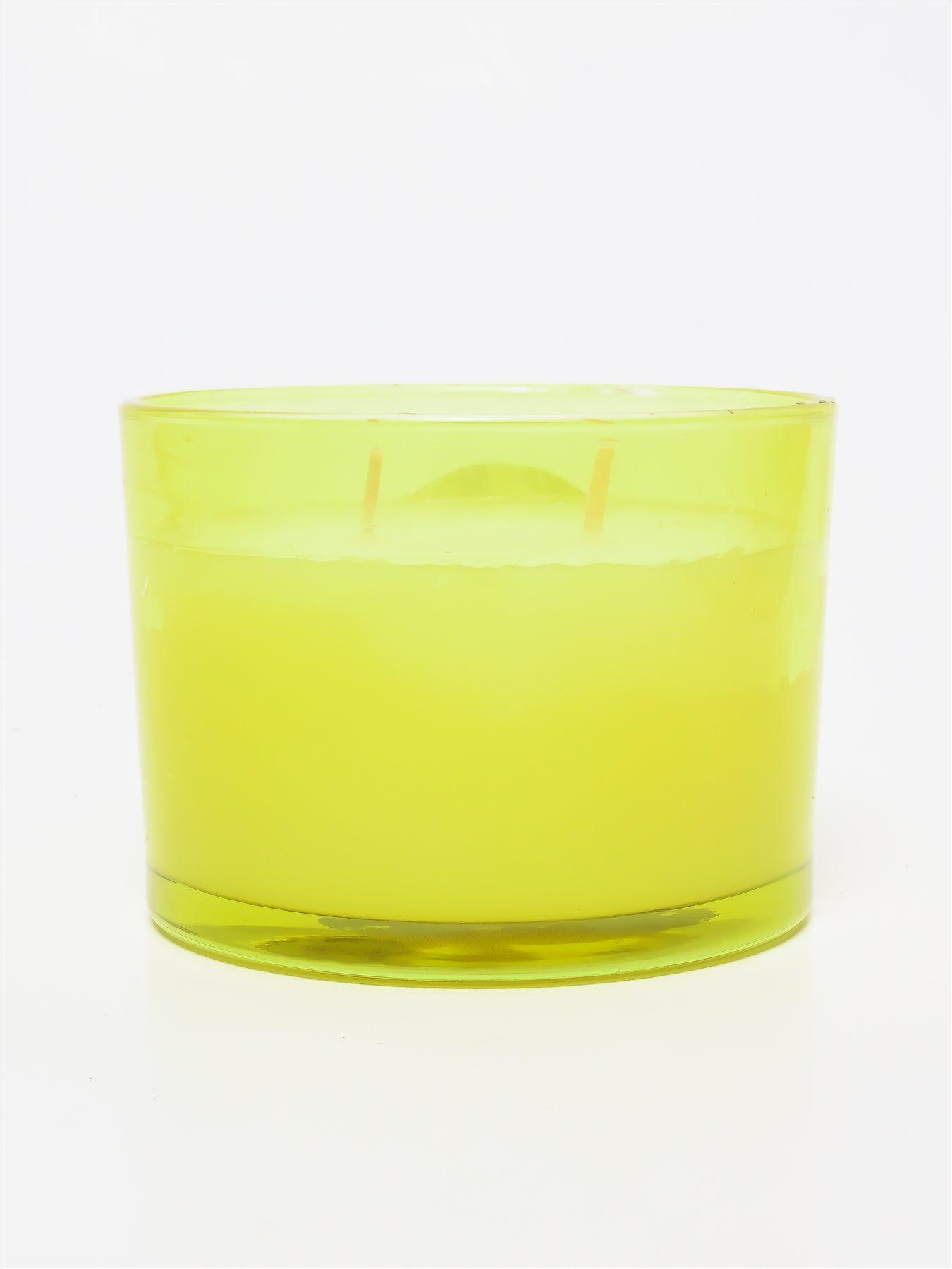 2 Wicks Candle: Bergamot Leaf & Eucalyptus