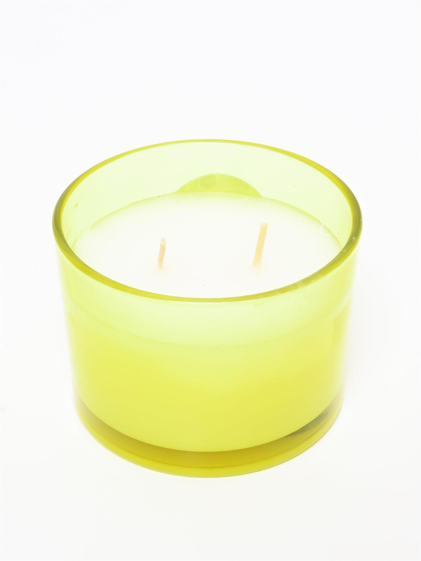 2 Wicks Candle: Bergamot Leaf & Eucalyptus, view 2